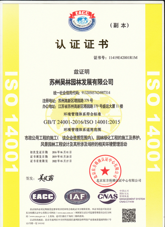 吸塑泡殼廠家