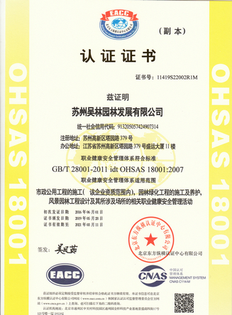 吸塑泡殼定做